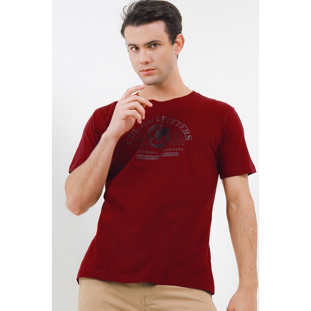 เสื้อยืดผู้ชาย CDL J0111P11F By Cardinal