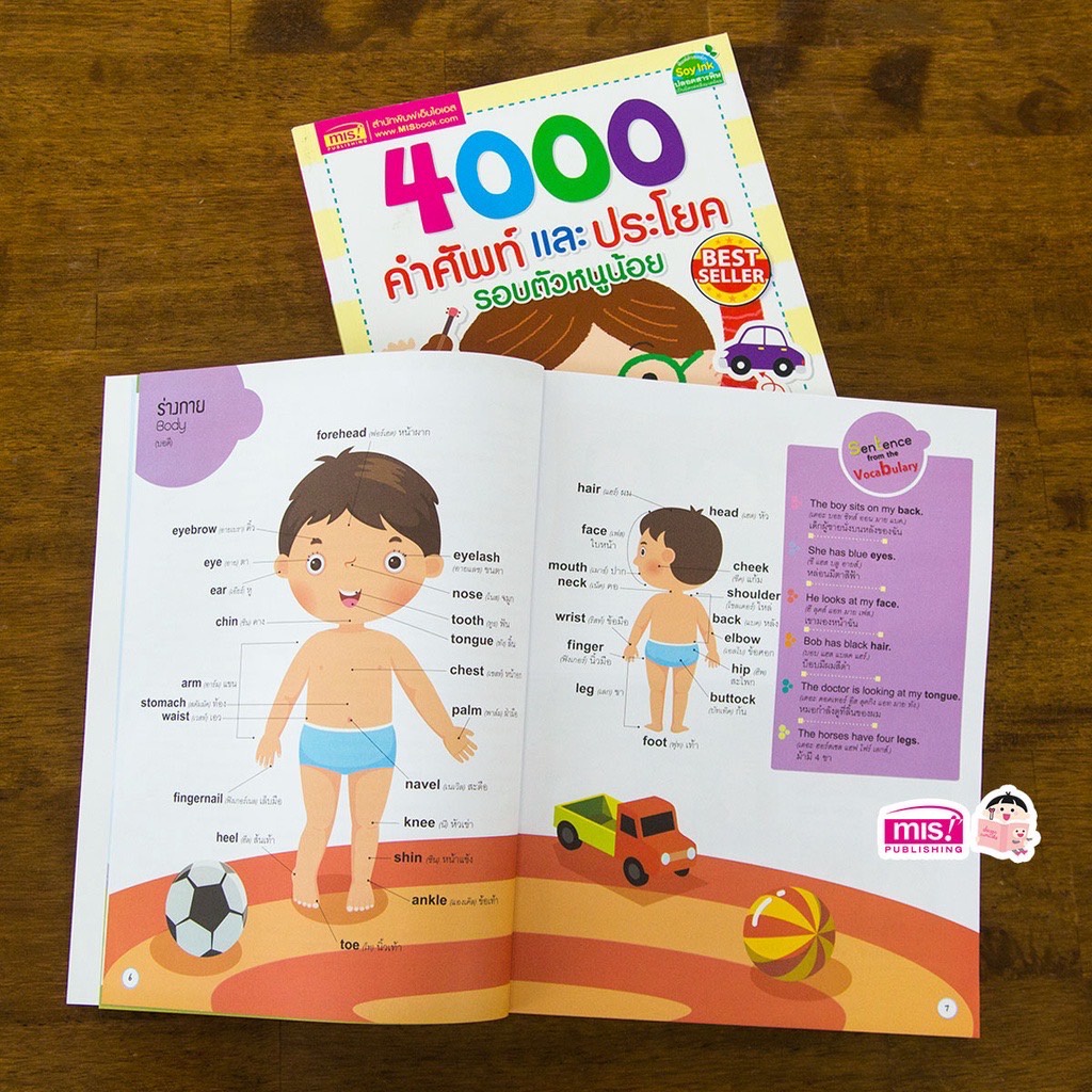 4000 คำศัพท์และประโยครอบตัวหนูน้อย เต่าซ่าส์ หนังสือคำศัพท์เด็ก