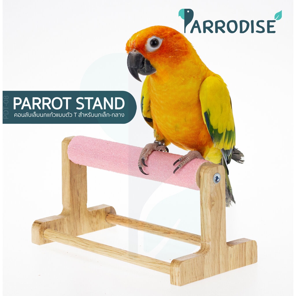Parrodise PD-08 คอนรูปตัวทีไซส์เล็ก คอนยืนนกแก้ว คอนไม้ คอนนก ที่ยืนนกแก้ว คอนลับเล็บ