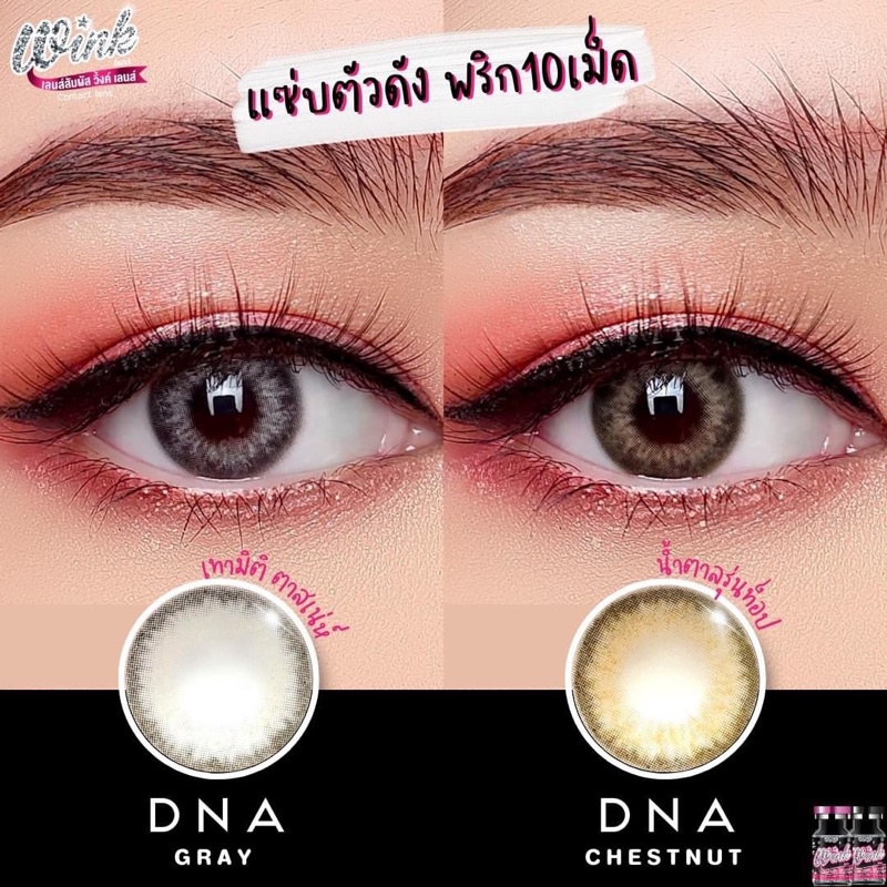 คอนแทคเลนส์(มินิ) Dna Chestnut / Gray (Wink) ⭐️ลายฮิต ขายดีมาก กรองแสงกันยูวี - รูปที่ 7