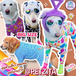 🇹🇭พร้อมส่ง🇹🇭(ลิ้งค์ 2)💥🐶🐕 BIG SIZEชุด สี่ขา ชุดกันขนร่วง สุน…