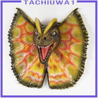 [Tachiuwa1] รูปปั้นไดโนเสาร์ 3D สําหรับตกแต่งผนัง สวน ห้องนอน เนอสเซอรี่