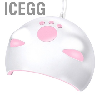 Icegg 60W Nail Lamp with LCD Display and 3 Timer Settings for Art