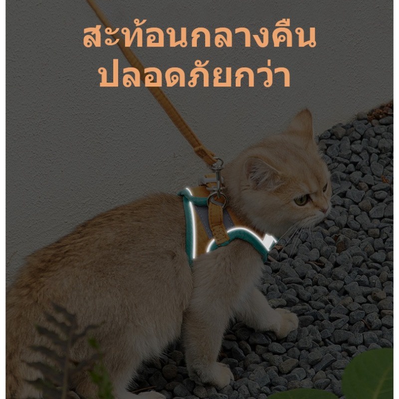 🐕COD🐈สายจูงสัตว์เลี้ยง Colorful Reflective สายจูงแมว สายจูงสุนัข เชือกจูงแมว สายรัดอกสุนัข ผ้าระบายอากาศ เกรดพรีเมี่ยม - รูปที่ 3
