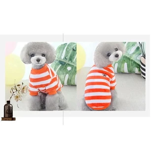 เสื้อผ้าสัตว์เลี้ยง เสื้อแจ็กเก็ต ผ้ากํามะหยี่ขนนิ่ม ลายทาง สีรุ้ง ขนาดเล็ก น่ารัก ให้ความอบอุ่น แฟชั่นฤดูใบไม้ร่วง และฤดูหนาว สําหรับแมว