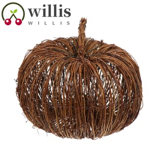 Willis ฟักทองหวายสาน ธรรมชาติ สไตล์เรโทร สําหรับตกแต่งบ้าน เทศกาล เก็บเกี่ยว DIY