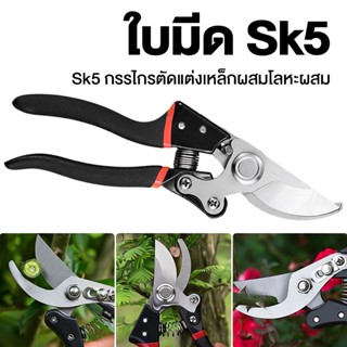 กรรไกรตัดกิ่งไม้ กรรไกรตัดหญ้า แต่งสวน กรรไกรตัดกิ่ง sk5✂️