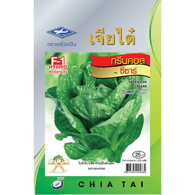 กรีนคอสซีซาร์ CT/F1-002 ผัก เจียไต๋ ประมาณ1,000เมล็ด กรีนคอส สลัด เมล็ดพันธุ์ผัก เมล็ดพืช ผักสวนครัว