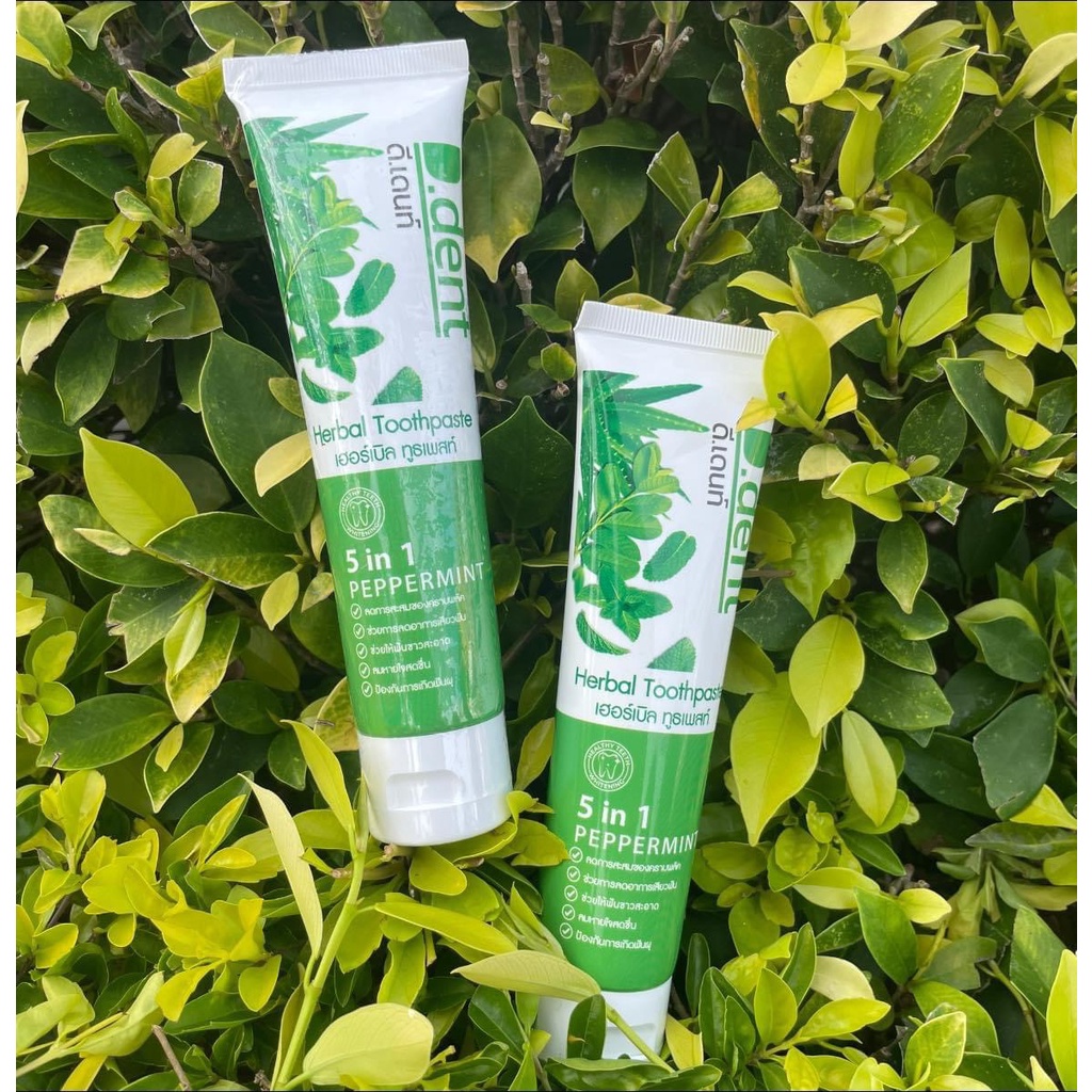 ยาสีฟันดีเดนท์ ของแท้ 100% D.Dent   1แถม1