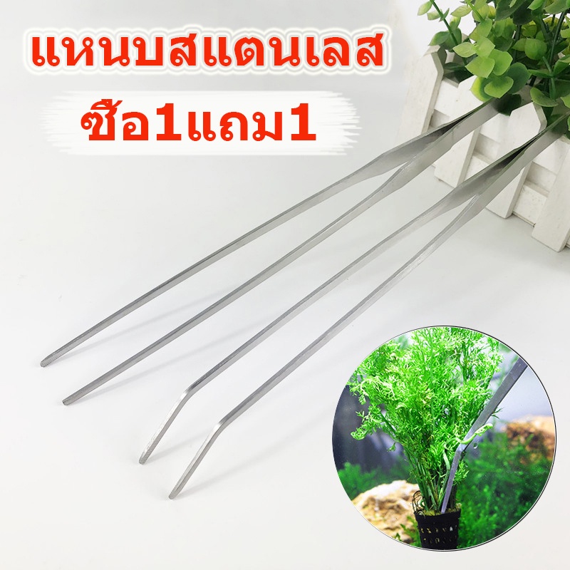 ซื้อ1แถม1 แหนบสแตนเลส ฟอร์เซป คีมฟอร์เซป สำหรับตู้ปลา ปากคีบ คีมหนีบเส้นด้าย ปลายตรงและปลายงอ