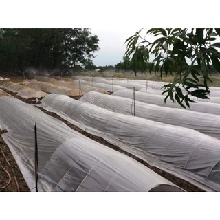 พลาสติกคลุมเห็ด(สีใส-สีดำ) ยาว 29-60 เมตร คลุมโรงเห็ด เพาะเห็ด ผ้าคลุมเห็ด คลุมแปลงเห็ด คลุมเห็ดฟาง พลาสติกแปลงเห็ด