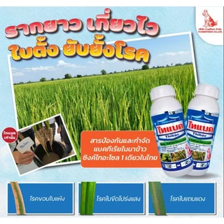 ️ยกลัง 12 ขวด ️️ไทแบค (ซิงค์ไทอะโซล 20%) ยาเชื้อรา ยาแบคทีเรีย สารป้องกันกำจัดโรคพืช 1 ลิตร /12 ขวด สุดคุ้ม