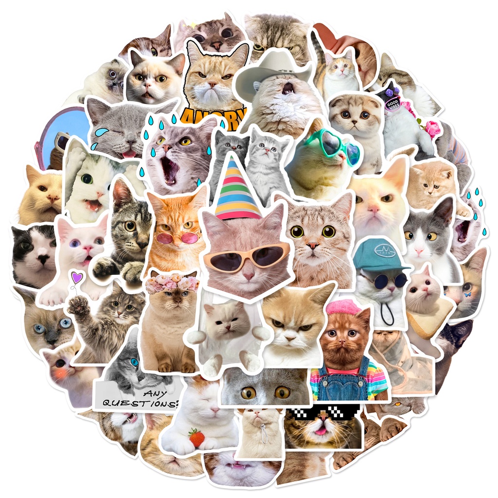 Lanlanstickersworld ใหม่ สติกเกอร์ ลายกราฟฟิตี้แมว MEME กันน้ํา สําหรับติดตกแต่งหมวกกันน็อค จักรยาน 50 ชิ้น