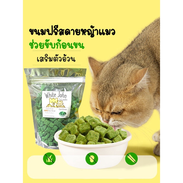 หญ้าแมวฟรีซดรายผสมอกไก่ หญ้าแมวแห้ง ต้นอ่อนข้าวสาลี (Cat Grass Cube Freeze Dried) หญ้าแมวเม็ด