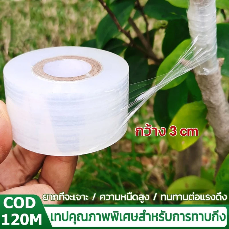 เทปพันกิ่งไม้ 3cmx120m ทาบกิ่ง ตอนกิ่ง ติดตาต้นไม้