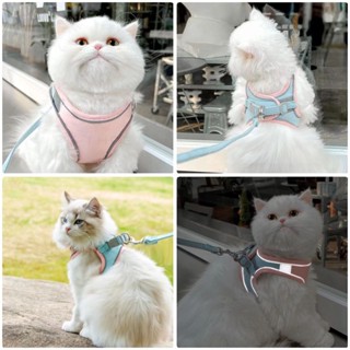 THPET สายจูงสัตว์เลี้ยง สายจูงแมว-หมา แบบสองสี สายยาว