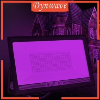 [Dynwave] โคมไฟฟลัดไลท์ LED 100W เรืองแสง สําหรับสนามบาสเก็ตบอล ในร่ม กลางแจ้ง