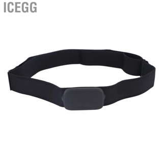 Icegg Heart Rate   Adjustable Band Accurately Data Analyze IP67  Calorie Expenditure Display   Strap for Cycling