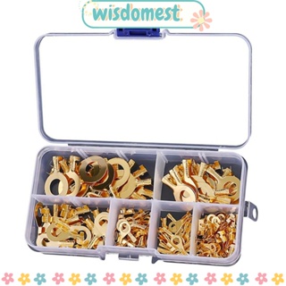 Wisdomest อุปกรณ์หางปลาทองแดง M3 M4 M5 M6 M8 M10 O-Type พร้อมกล่องเก็บ 6 ขนาด 150 ชิ้น