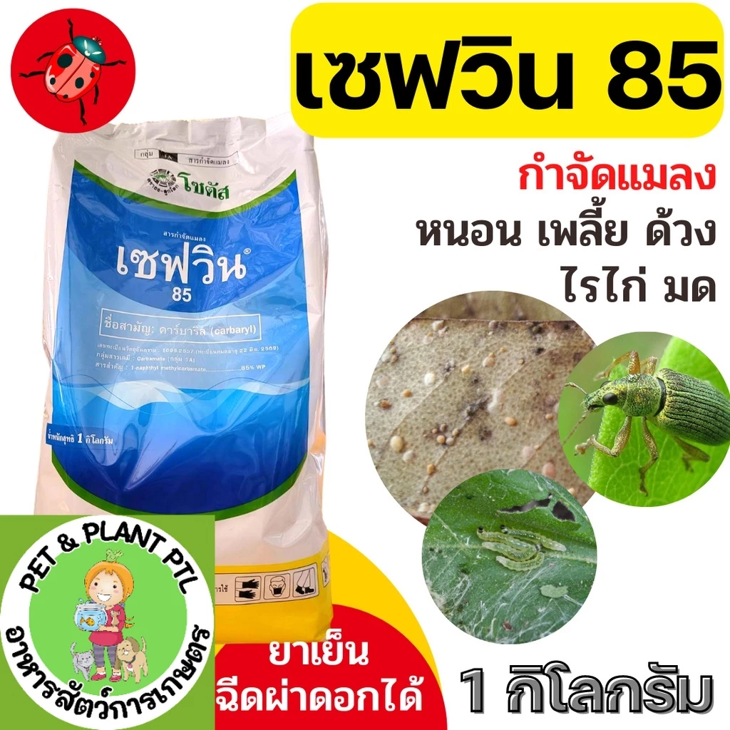 [1กิโลกรัม] เซฟวิน 85 กำจัดแมลงได้หลากหลายชนิดทั้งเพลี้ยไฟ เพลี้ยแป้ง เพลี้ยอ่อนและแมลงปีกแข็ง