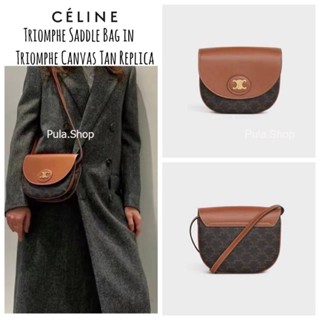 CE001 Triomphe Saddle Bag In Canvas