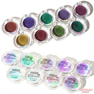 อายแชโดว์ OEM Chameleon Flash Powder จานสีขาวดำที่มีเม็ดสีสูงพร้อมสีมุก ติดทนนานและกันน้ำ ♥ Dare to be Beautiful