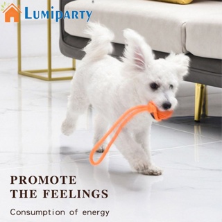 Lumiparty ของเล่นลูกบอล พร้อมเชือกกัด ทําความสะอาดฟัน สําหรับสัตว์เลี้ยง