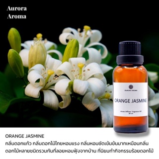 Aroma Diffuser Fragrance Oil น้ำหอมเครื่่องพ่นไอน้ำ 20 / 30 ml. กลิ่น ORANGE JASMINE  กลิ่นดอกแก้ว  น้ำหอมอโรม่า