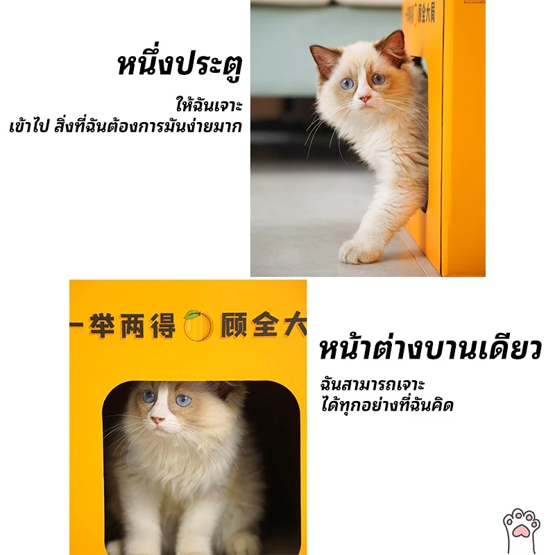บ้านแมวพร้อมแผ่นลับเล็บและที่นอนแมว thumbnail 6