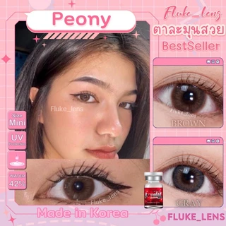 คอนแทคเลนส์ (มินิ) ตาหวาน 💖 Peony gray brown 💖 สีนวลละมุน Lovelyplus ใส่แล้วหวานธรรมชาติ ไม่หลอกตา เลนส์เกาหลีแท้ 🇰🇷