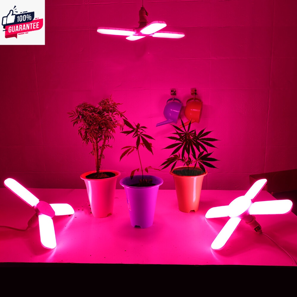 หลอดไฟปลูกผักไฮโดรโปนิกส์ led grow light  ขั้วE27 60W hydroponics สวนผักออแกนิค ประหยัดไฟ ไฟปลูกพืช 