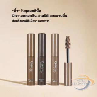 YTL มาสคาร่าคิ้ว สามมิติ สีน้ำตาล แห้งเร็ว กันน้ำ ติดทนนาน