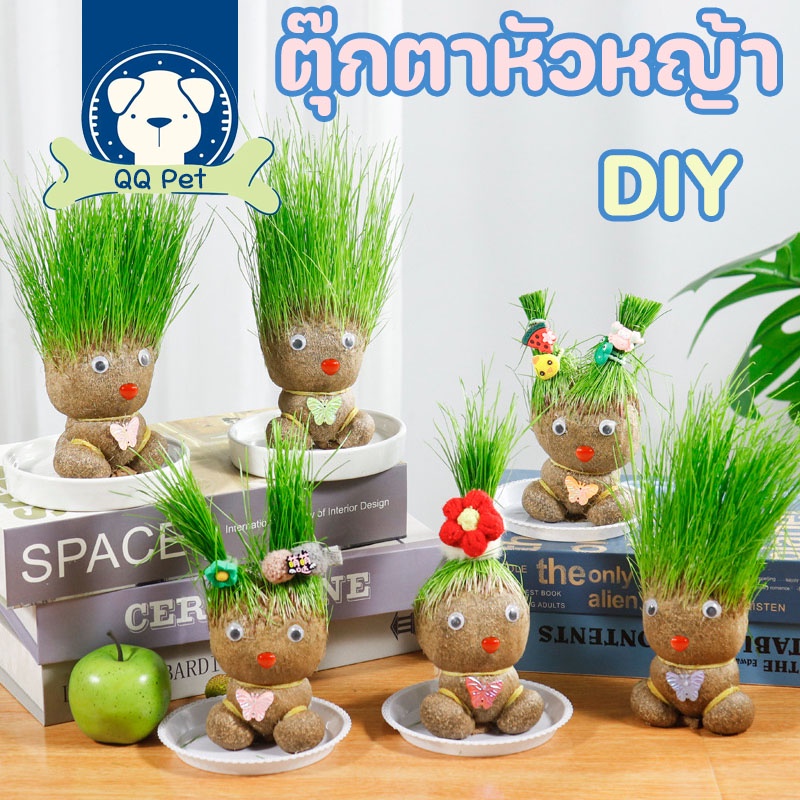 หญ้าแมว ตุ๊กตาหัวหญ้า ตุ๊กตาหญ้า grass head DIY กระถางสร้างสรรค์ ของขวัญ