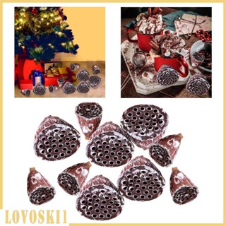 [Lovoski1] ดอกไม้แห้งธรรมชาติ สําหรับงานฝีมือ พร็อพถ่ายภาพ 10 ชิ้น