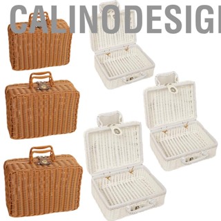 Calinodesign Woven Picnic Box Plastic Rattan Odorless Retro Storage with Ring Shaped Handle for Outdoor