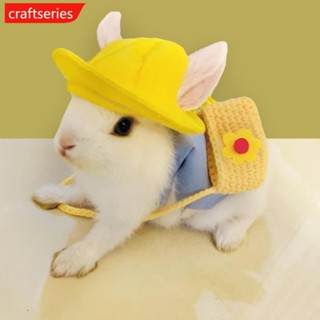 Craftseries สายจูงสัตว์เลี้ยง ขนาดเล็ก อุปกรณ์เสริม สําหรับกระต่าย หนูตะเภา L7R2