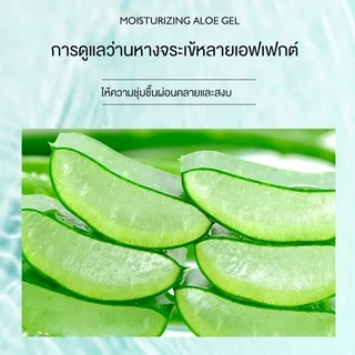 🍃 หน้ากากว่านหางจระเข้ ความงาม หน้าขาวกระจ่างใส หน้าเนียนนุ่มชุ่มชื้น