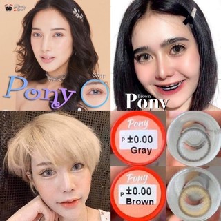 บิ๊กอาย ตาโต รุ่น Pony by Pitchy lens ลายสวย สายตาปกติ รายเดือน