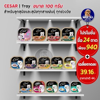 อาหารถาดสุนัข ซีซาร์ ขนาด 100 กรัม**X24ถาด**