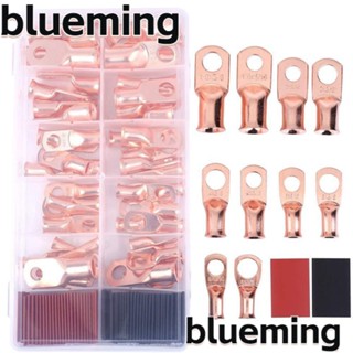 Blueming2 ขั้วต่อแบตเตอรี่ 1/0 2 4 6 8AWG 10 ขนาด 100 ชิ้น พร้อมสายแบตเตอรี่ 50 ชิ้น