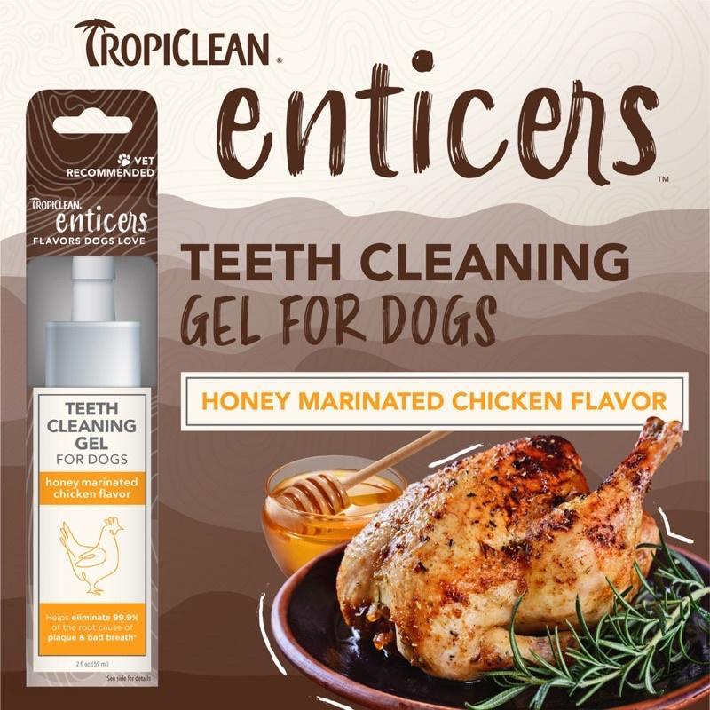 Tropiclean Enticers Teeth Cleaning Gel for Dogs Honey Marinated Chicken 2Oz. เจลทำความสะอาดฟันสำหรับสุนัข