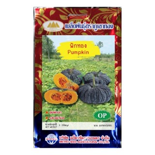 เมล็ดฟักทอง Pumpkin ตราภูเขาทอง MT/OP-098 เมล็ดพันธุ์ฟักทอง …