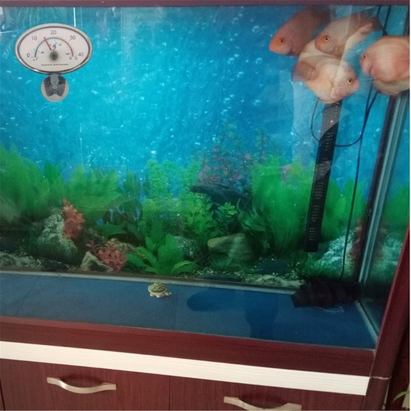 Jenniferae Liquid-In-Glass Aquarium FishTank น้ํา Terrarium อุณหภูมิ - รูปที่ 5