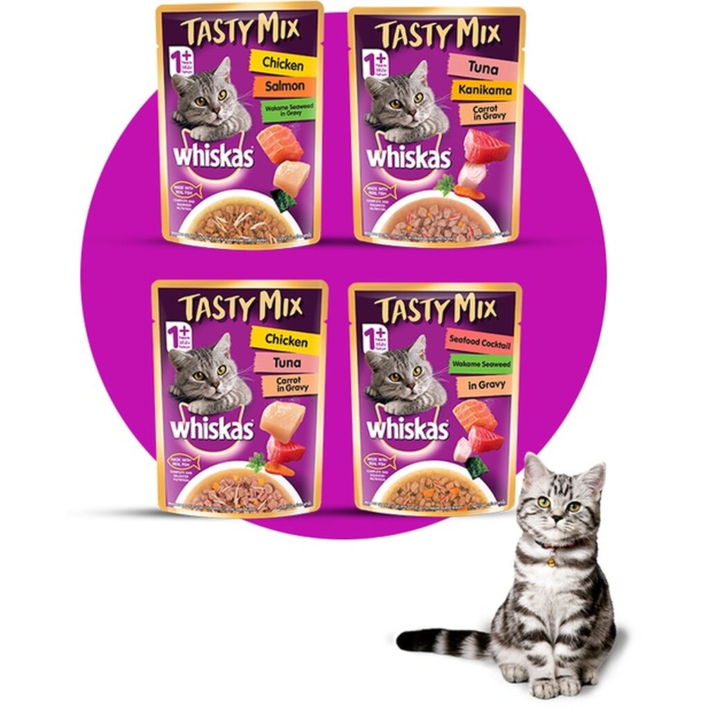 Whiskas อาหารแมวเปียก whiskas tasty mix วิสกัส เทสตี้มิกซ์ 70X28g ยกลัง