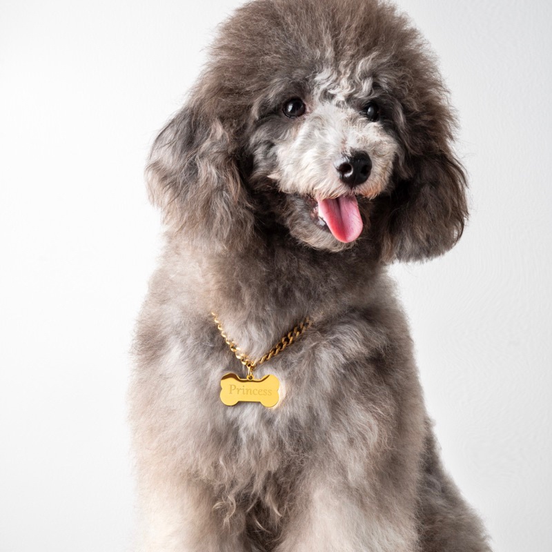 BONE NECKLACE_GOLD – สร้อยคอสัตว์เลี้ยงรูปทรง BONE สไตล์มินิมอล เบา ทนทาน