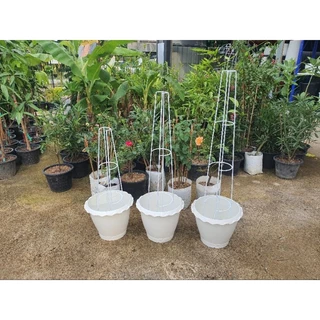 ** สั่งแยกจากสินค้าอื่น** ซุ้ม T-Rose ทรีโรส 70cm , 90cm , 100cm ซุ้มกุหลาบ