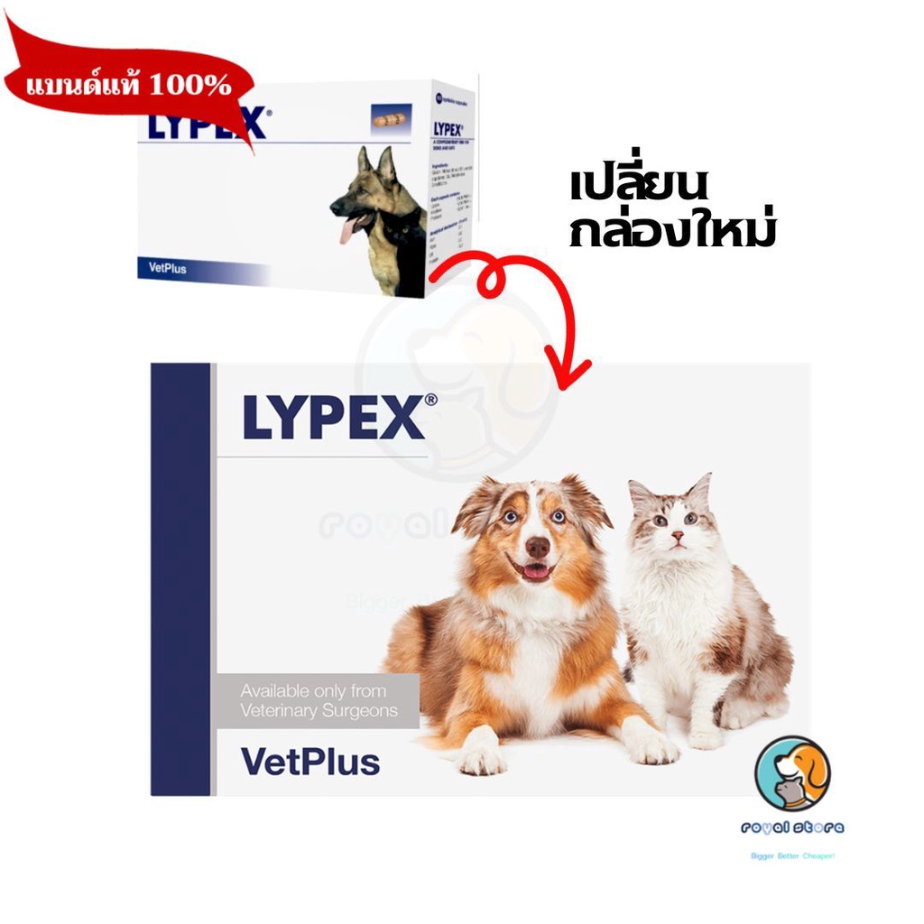 Vetplus Lypex ไลเป็กซ์ สำหรับสุนัข-แมว บรรจุ 60 เม็ด หมดอายุ 07/2026