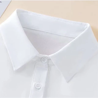 ปกคอเสื้อปลอม สีขาว สีดํา ป้องกันสิ่งสกปรก สไตล์นักธุรกิจ