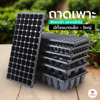 ถาดหลุมเพาะชำ #หนาพิเศษ ถาดเพาะเมล็ด ถาดเพาะกล้าไม้ ต้นอ่อน …