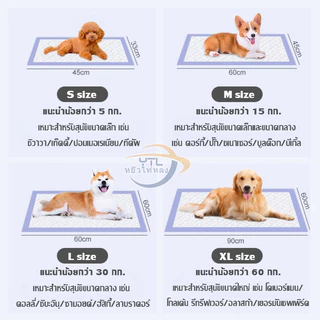 YTL แผ่นรองฉี่สุนัข รุ่นใหม่ มีกลิ่นลาเวนเดอร์ ดูดซับอย่างรวดเร็ว มีให้เลือก 4 Size